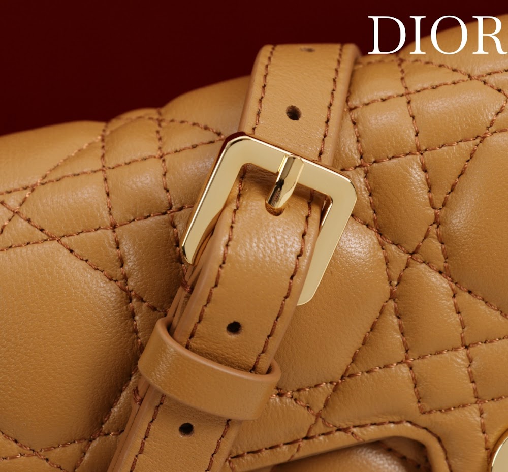 Dragons BagsDiorn Luxury Bag --116374