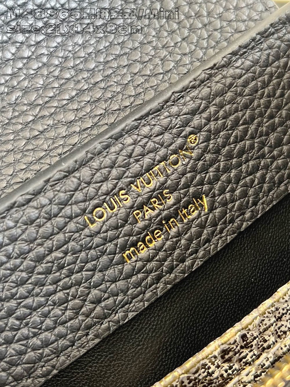 Dragons Bags ln Luxury Bag --95901