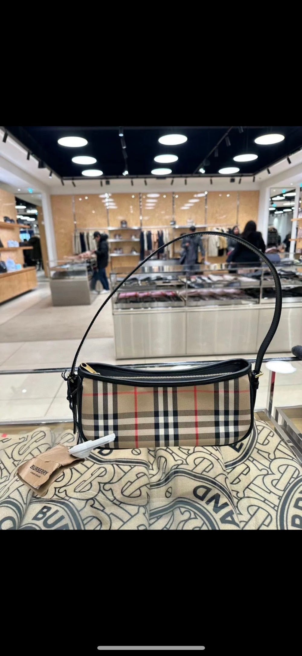 Dragons Bags Burberryn Luxury Bag --92058