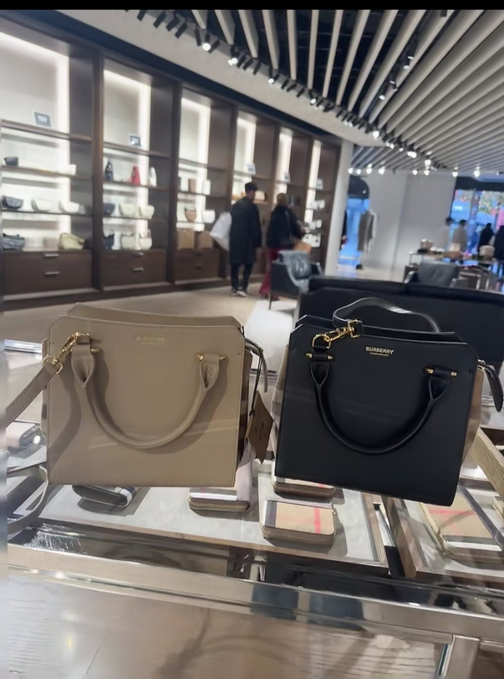 Dragons Bags Burberryn Luxury Bag --92037