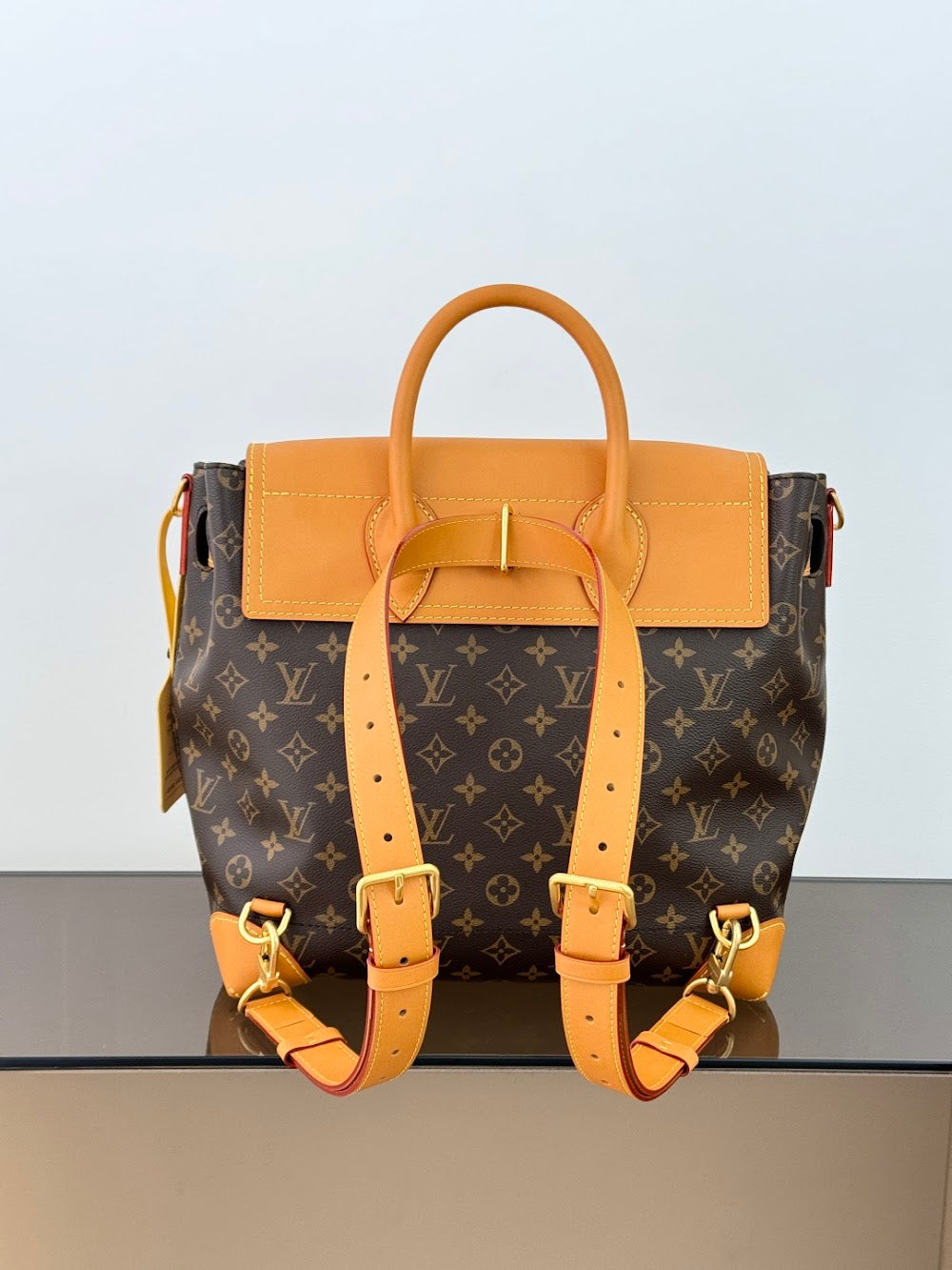 Dragons Bags ln Luxury Bag --96300