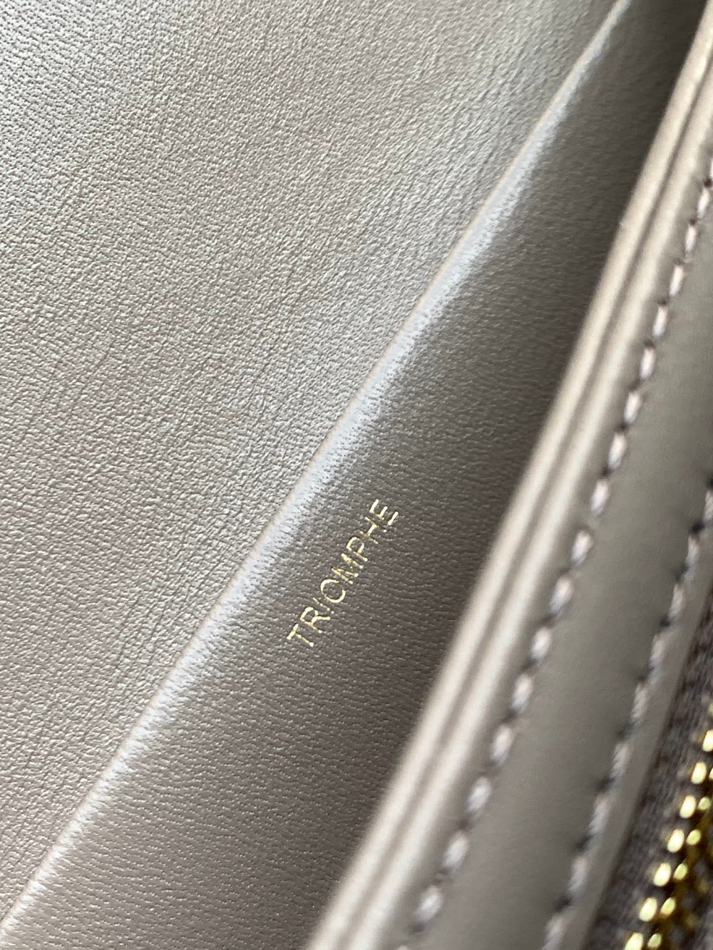 Dragons Bags Celine Luxury Bag --112583