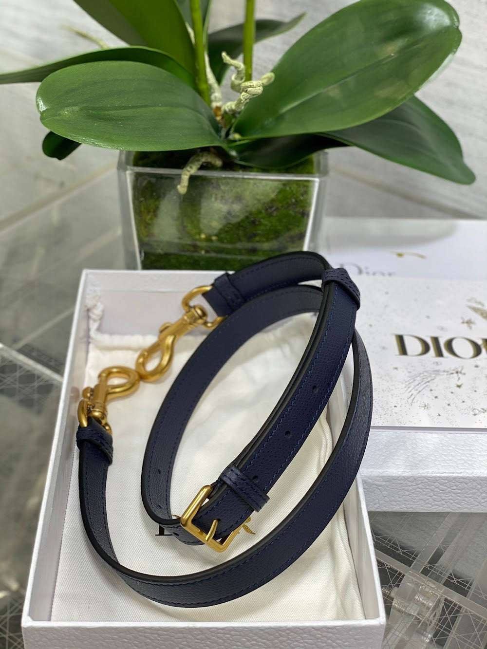 Dragons BagsDiorn Luxury Bag --115107