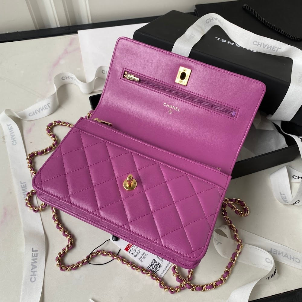 new-luxury-designer-bags-nm10106