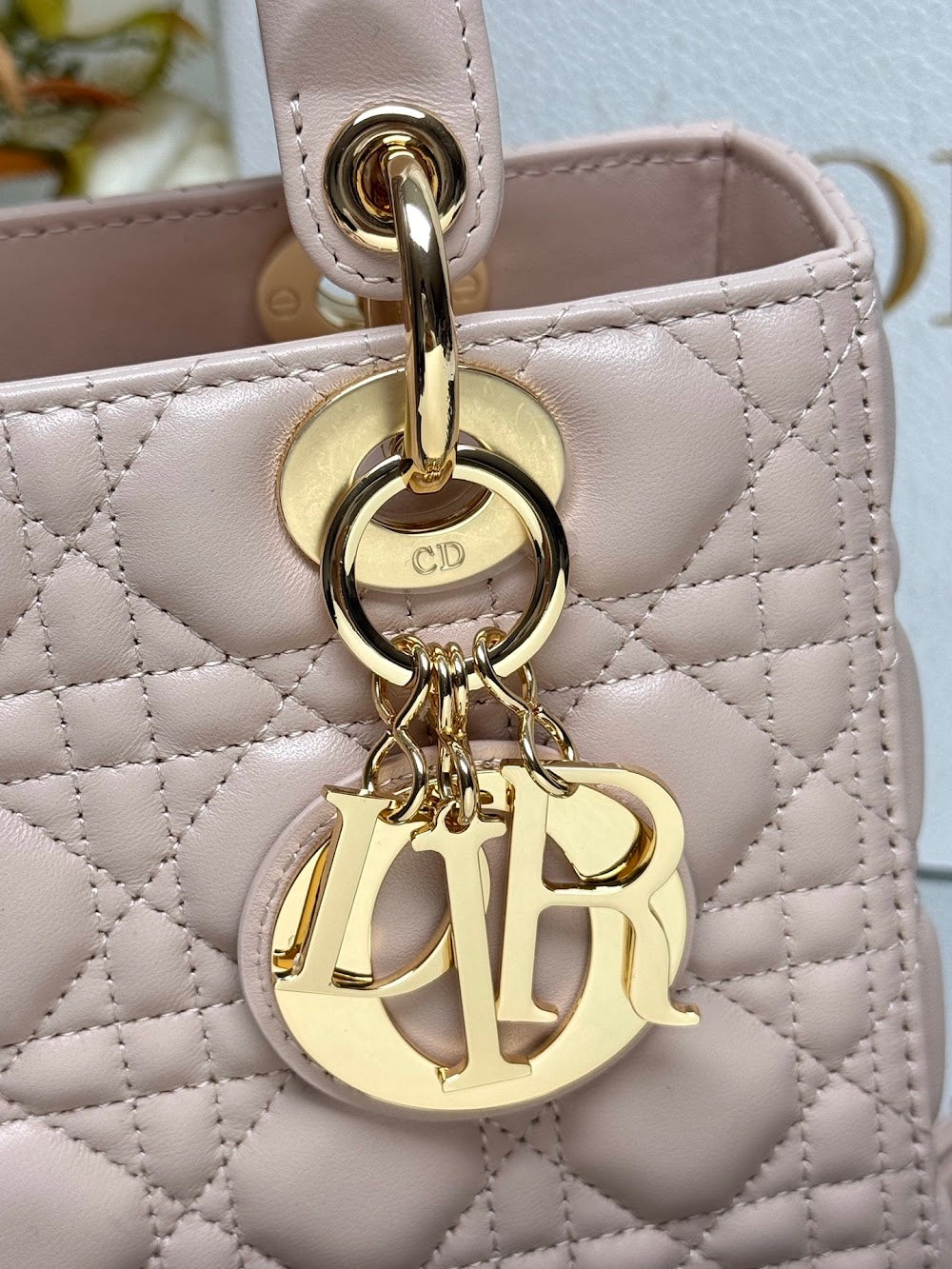Dragons BagsDiorn Luxury Bag --116019
