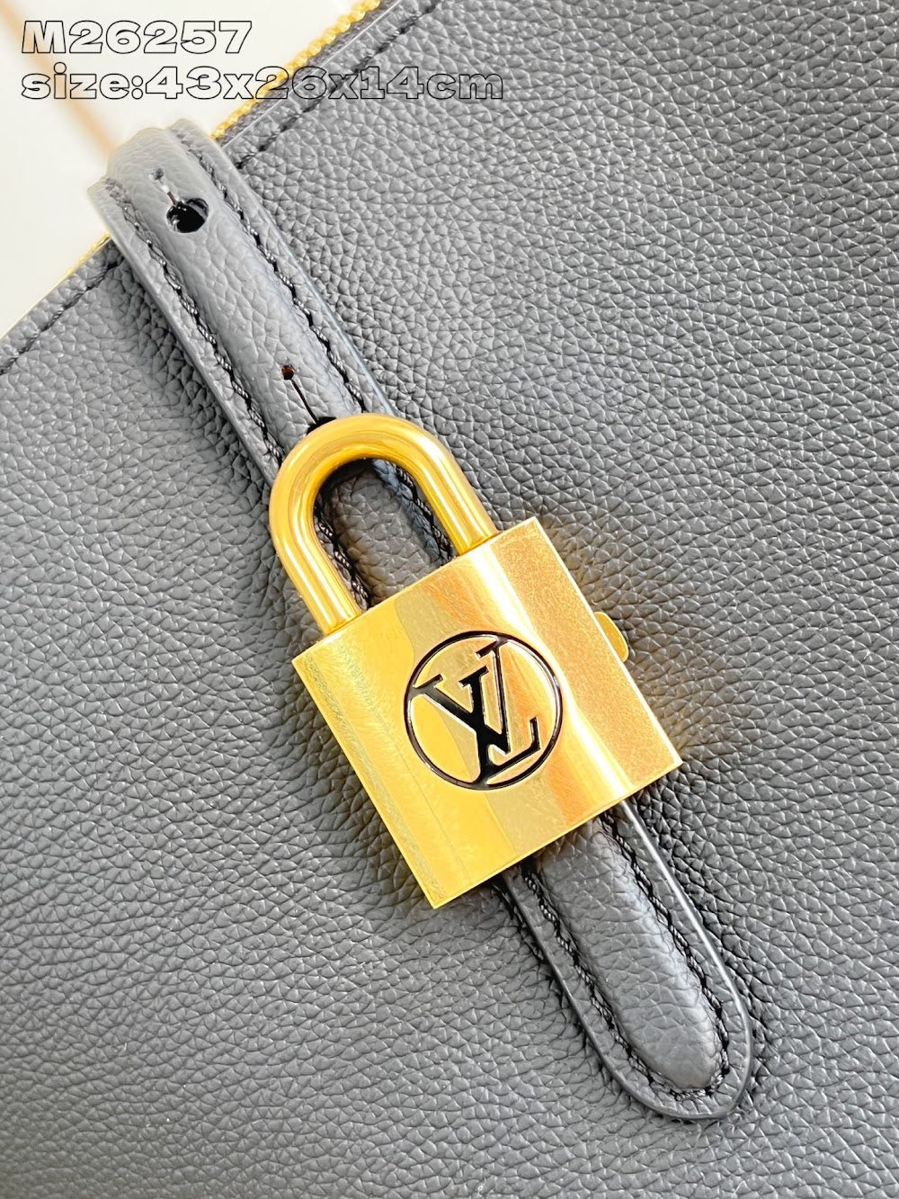 Dragons Bags ln Luxury Bag --95750