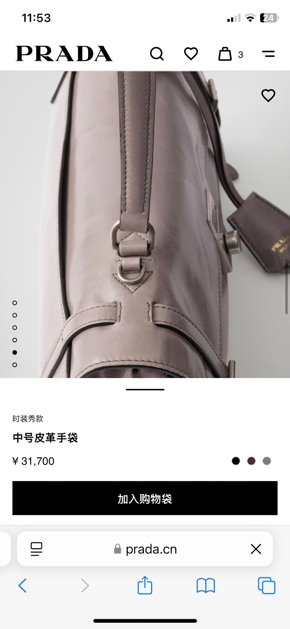 Dragons Bags Pradn Luxury Bag --102587