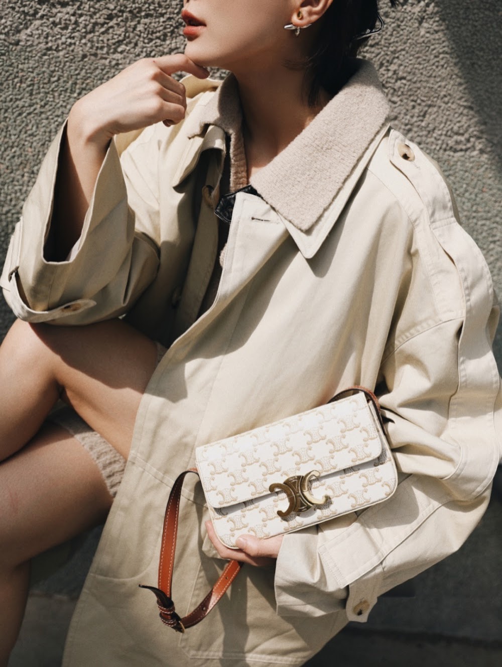 Dragons Bags Celine Luxury Bag --112071