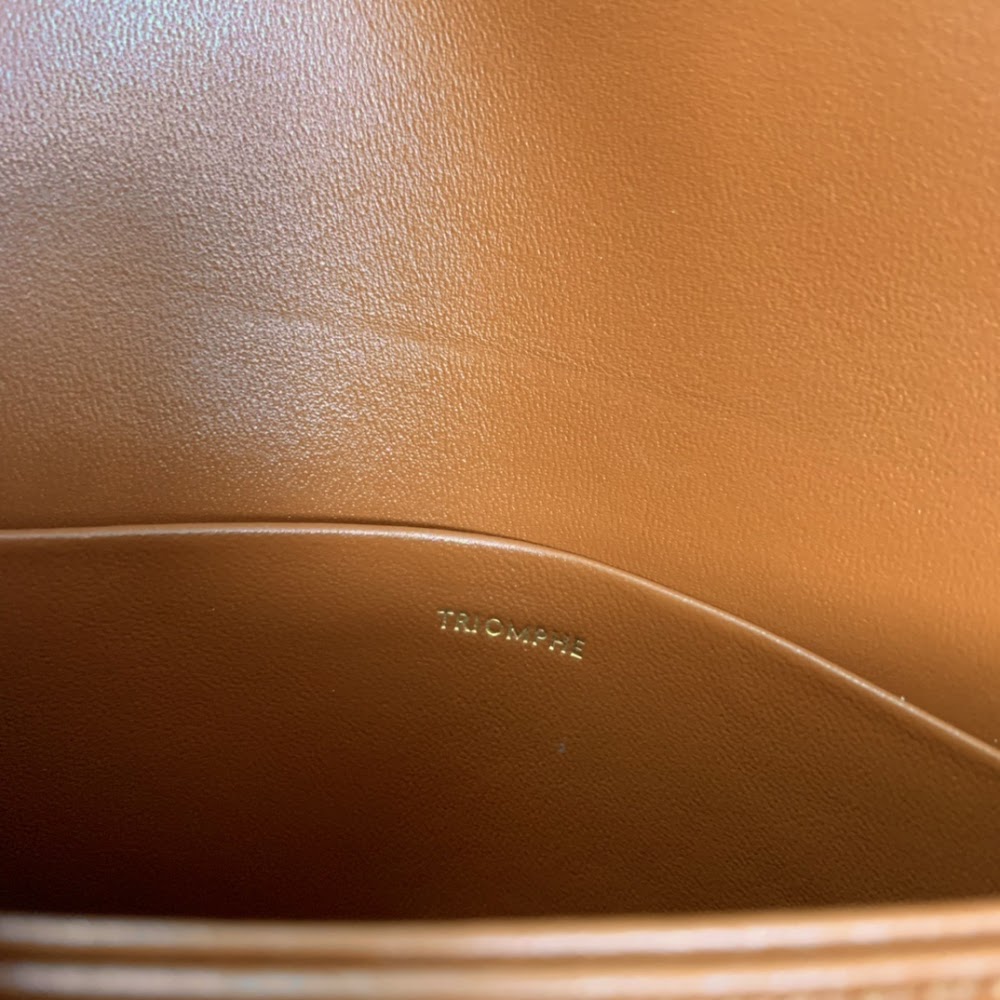 Dragons Bags Celine Luxury Bag --111989
