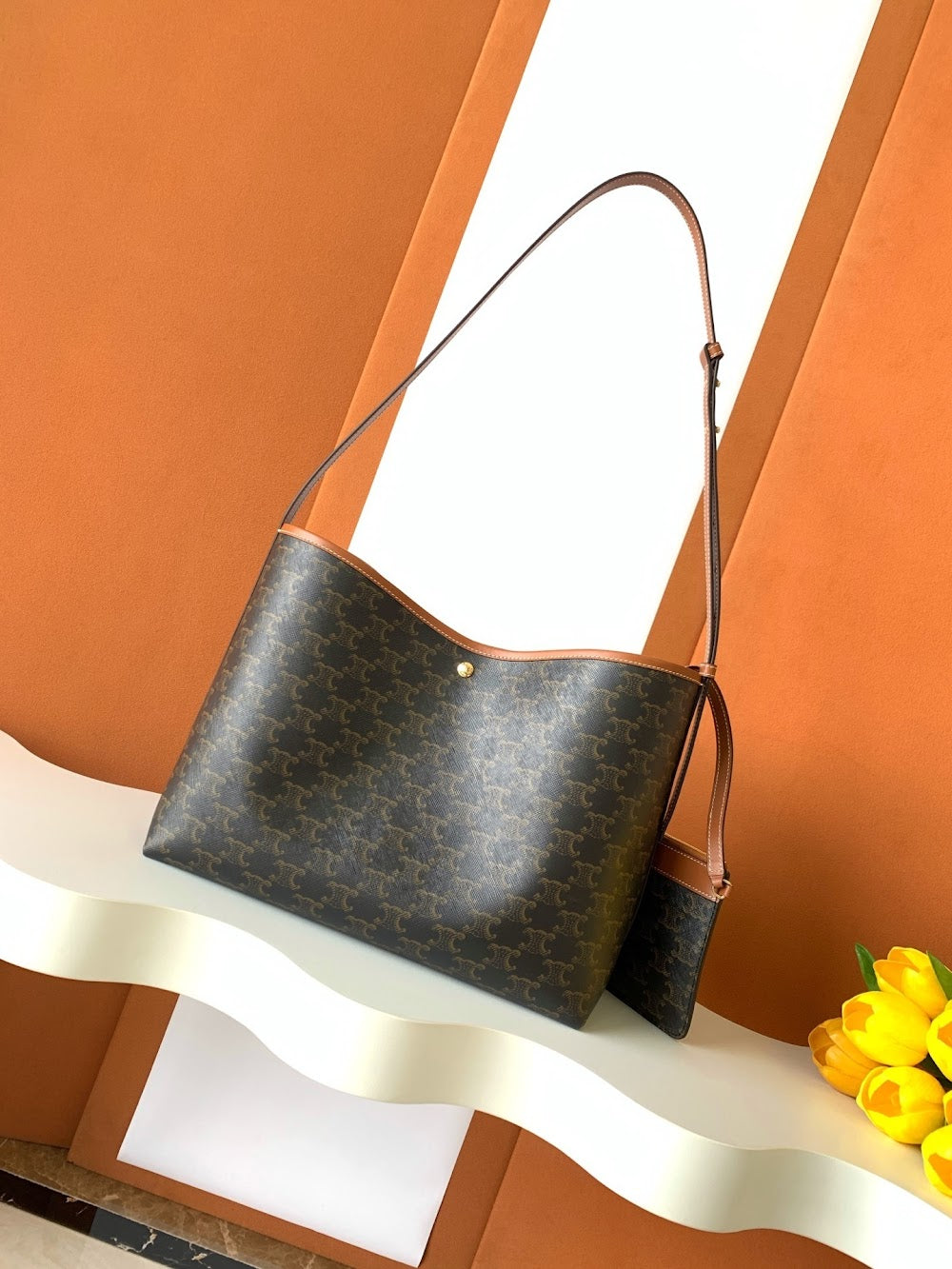 Dragons Bags Celine Luxury Bag --112171