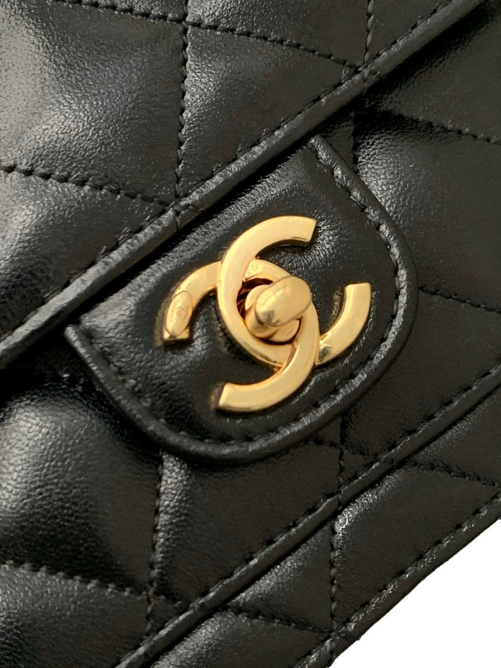 Dragons BagsCHn Luxury Bag --114097