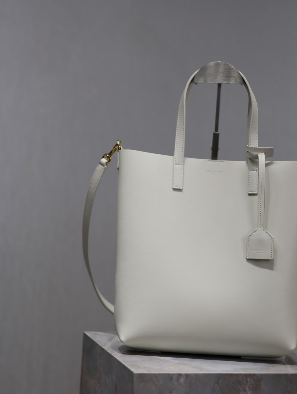Dragons Bags YSLn Luxury Bag --119261