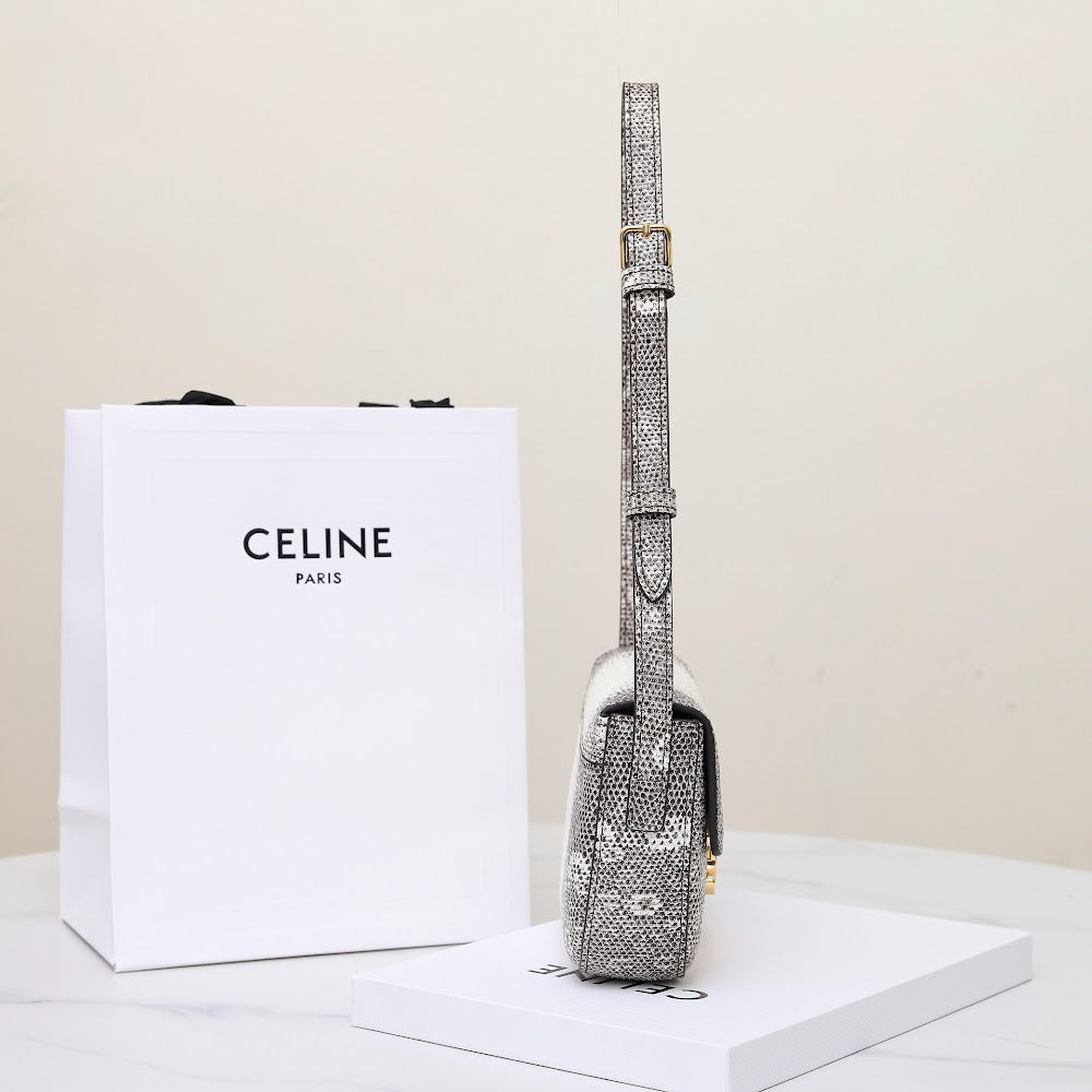 Dragons Bags Celine Luxury Bag --112152