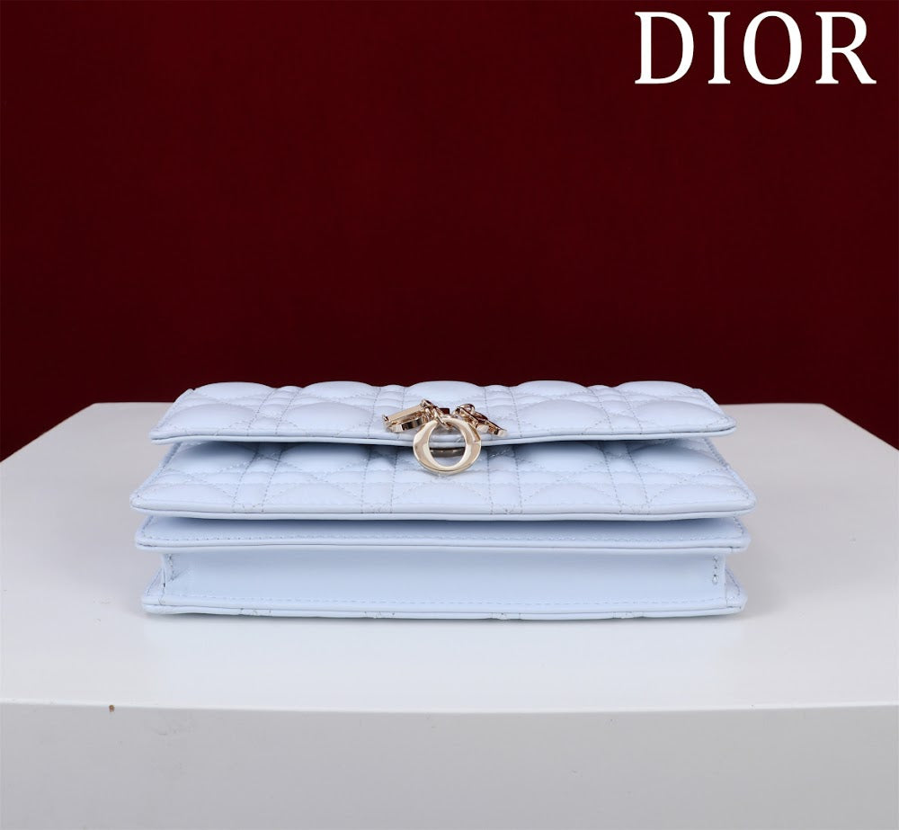 Dragons BagsDiorn Luxury Bag --116246
