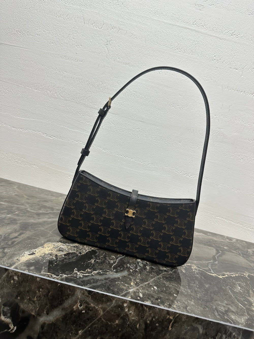 Dragons Bags Celine Luxury Bag --112545