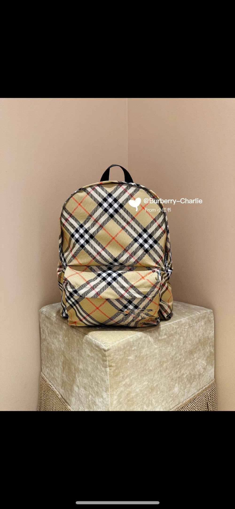Dragons Bags Burberryn Luxury Bag --93119