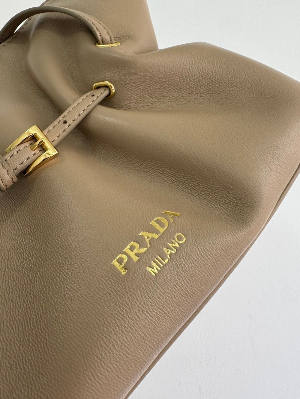 Dragons Bags Pradn Luxury Bag --101586