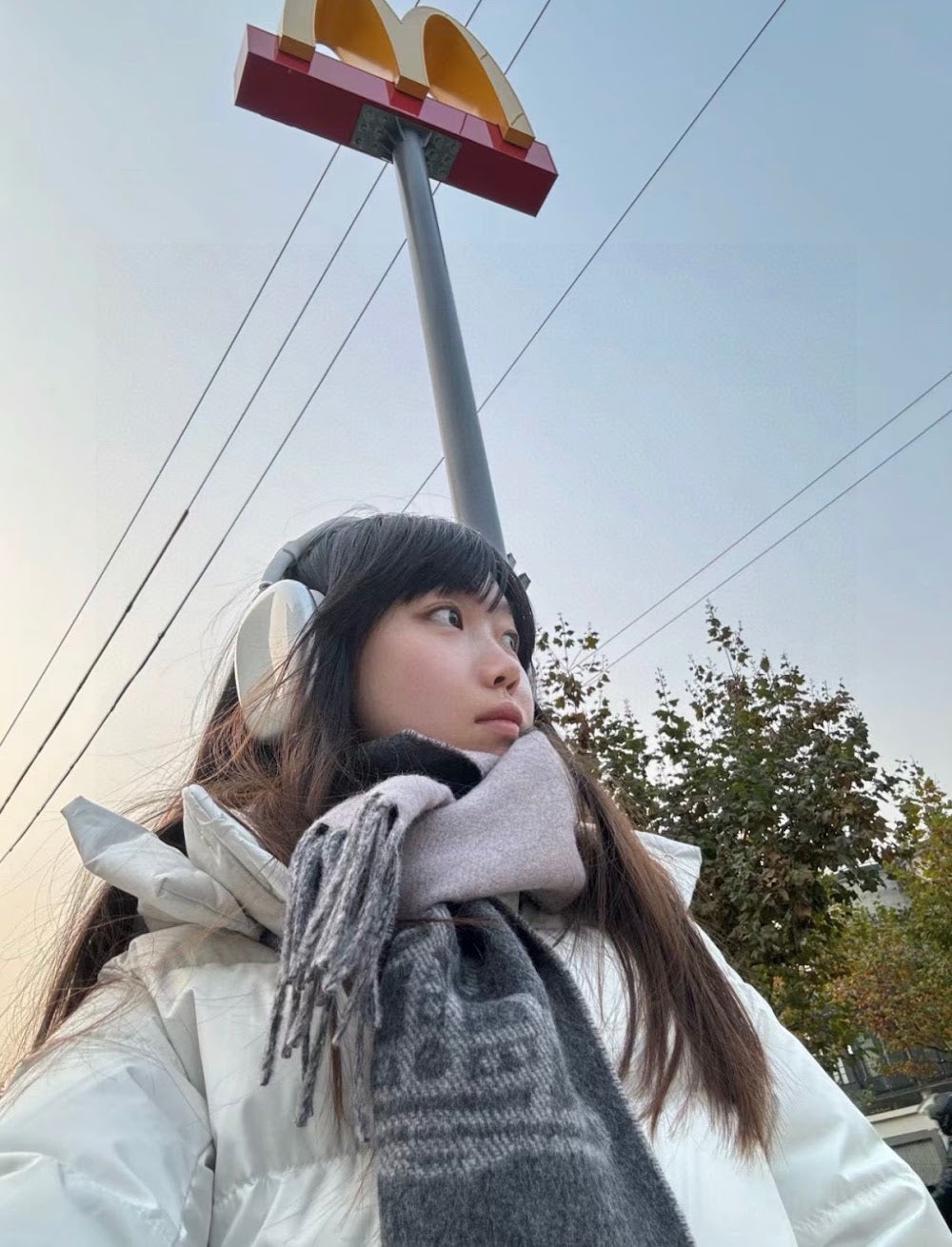 Dragons Bags Premium Designer Scarf --99434