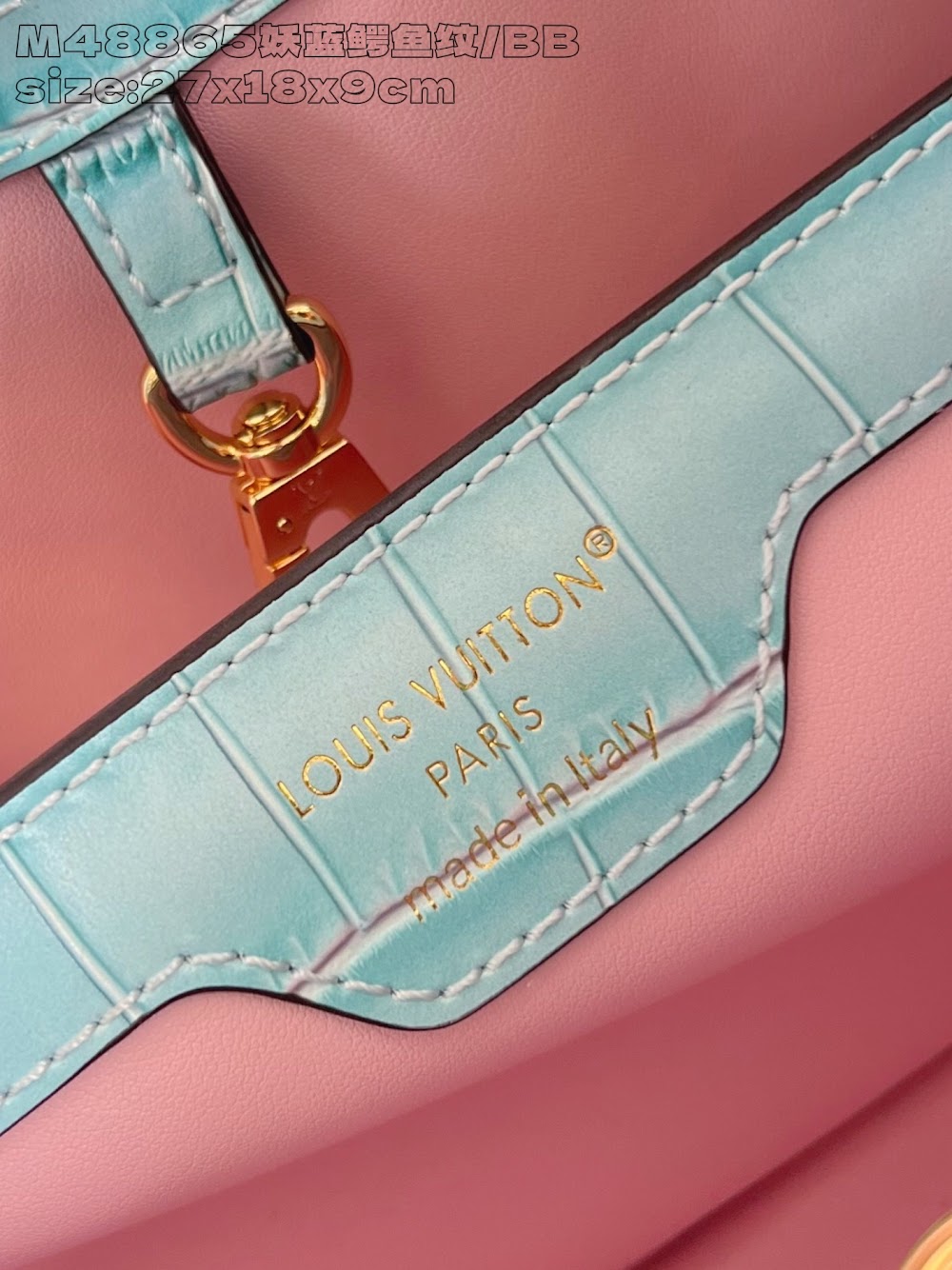 Dragons Bags ln Luxury Bag --95733