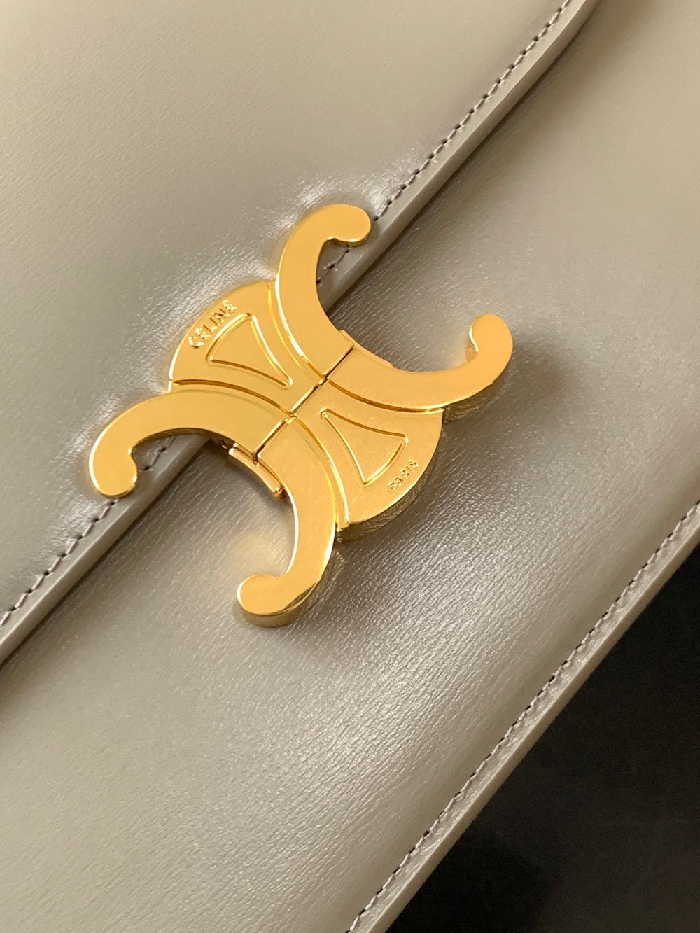 Dragons Bags Celine Luxury Bag --112583