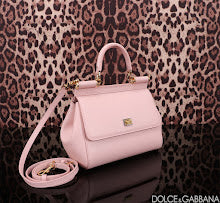 new-designer-premium-bags-nm7004
