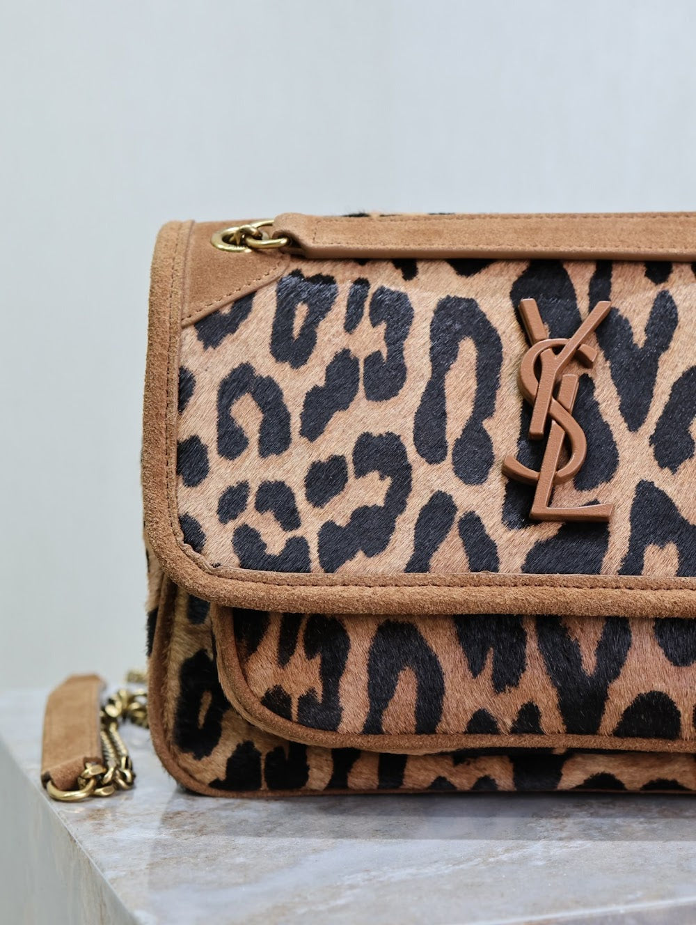 Dragons Bags YSLn Luxury Bag --119650