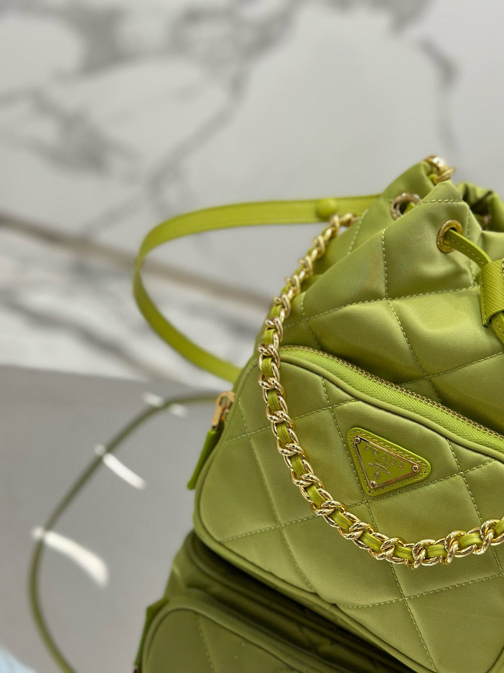 Dragons Bags Pradn Luxury Bag --102093