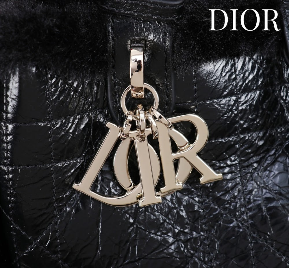 Dragons BagsDiorn Luxury Bag --116119