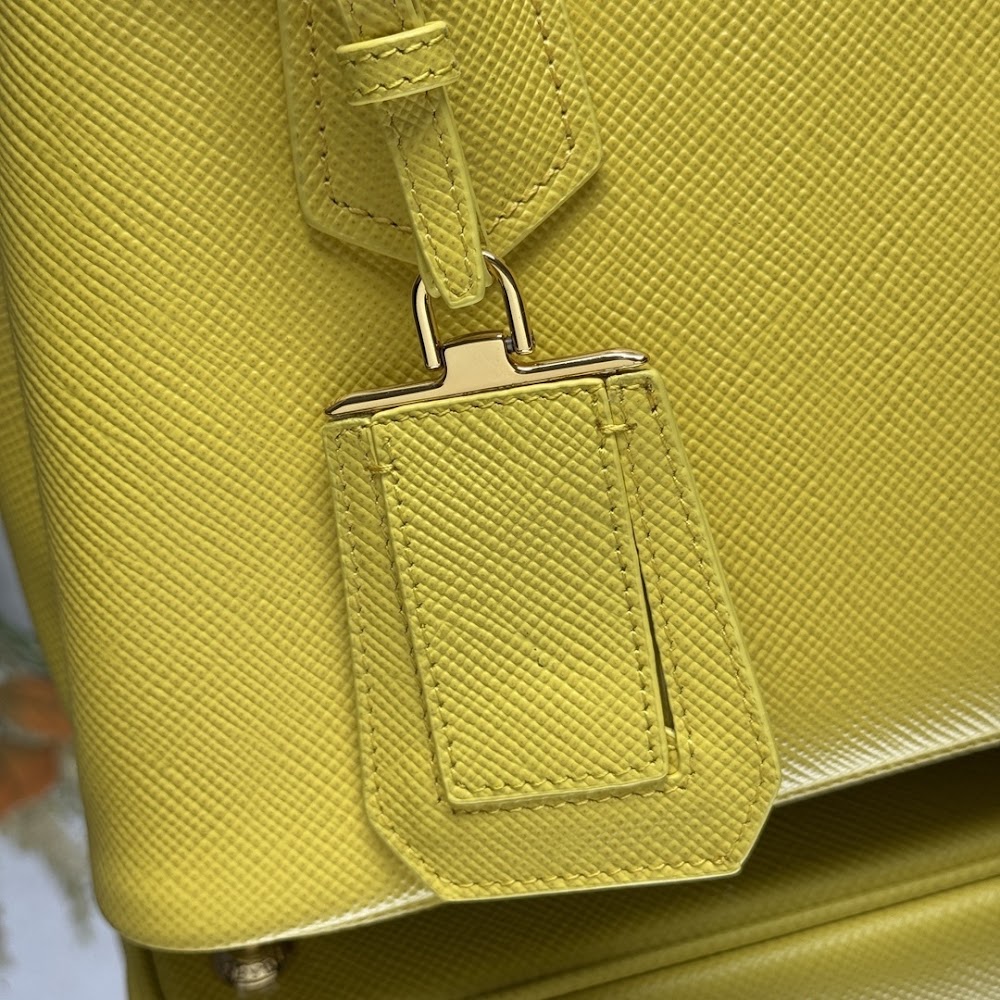 Dragons Bags Pradn Luxury Bag --102318