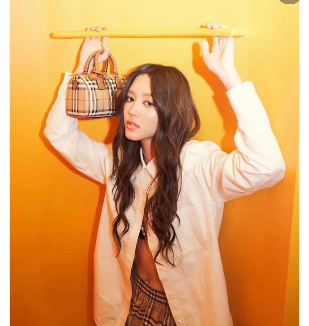 Dragons Bags Burberryn Luxury Bag --92042
