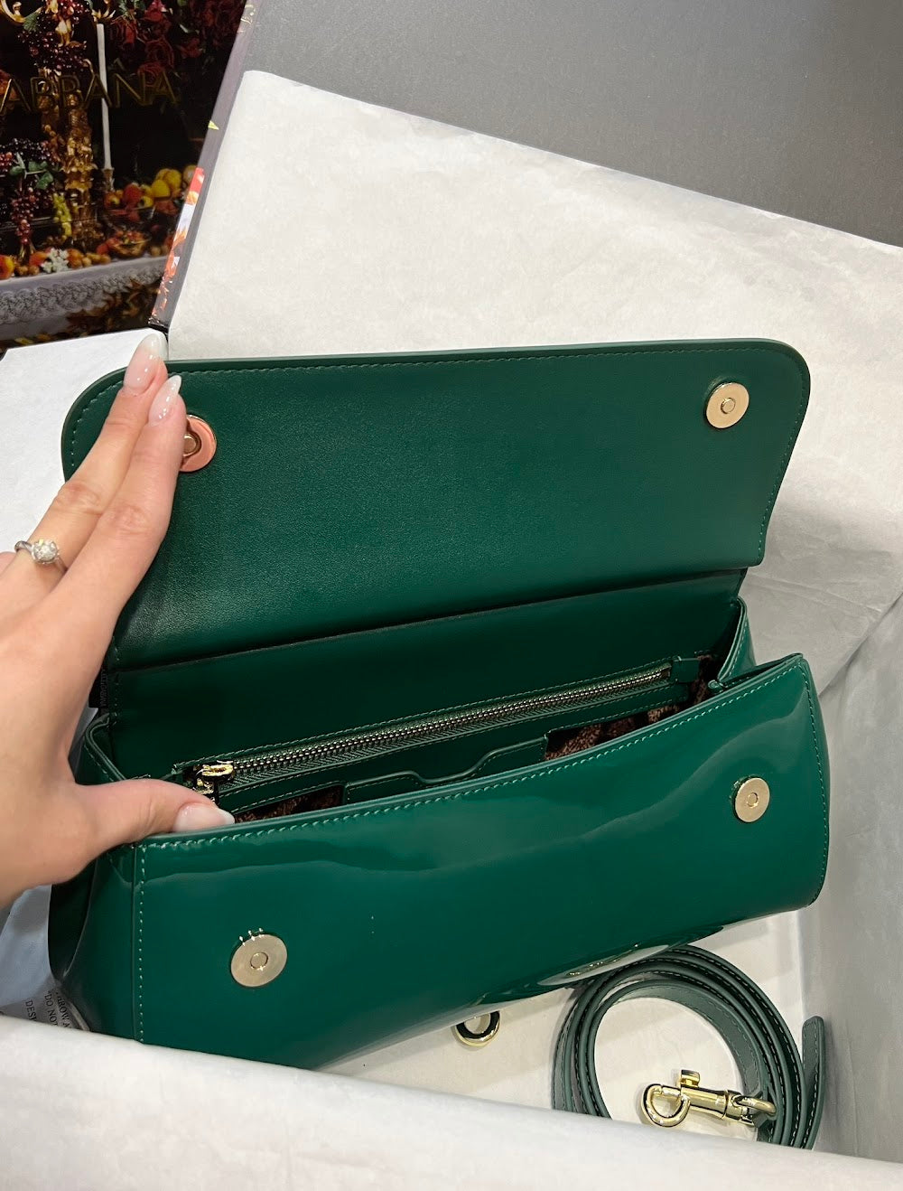 Dragons Bags DGn Luxury Bag --93293