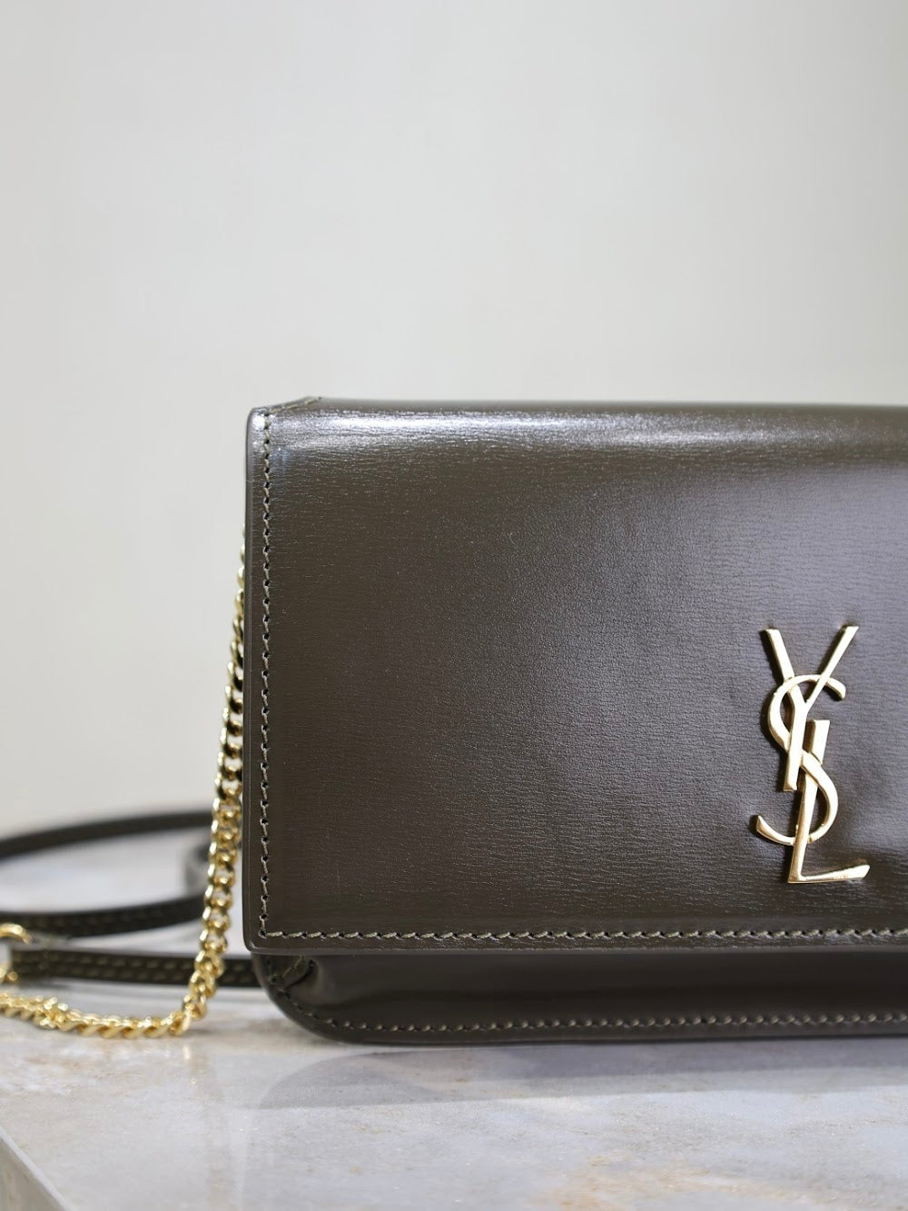 Dragons Bags YSLn Luxury Bag --120482