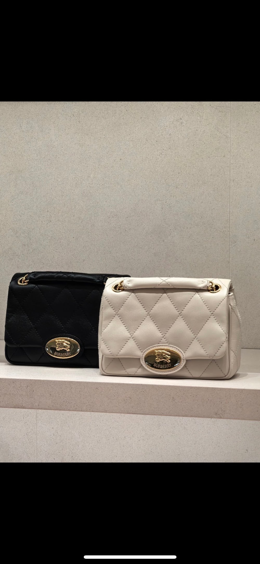 Dragons Bags Burberryn Luxury Bag --92310