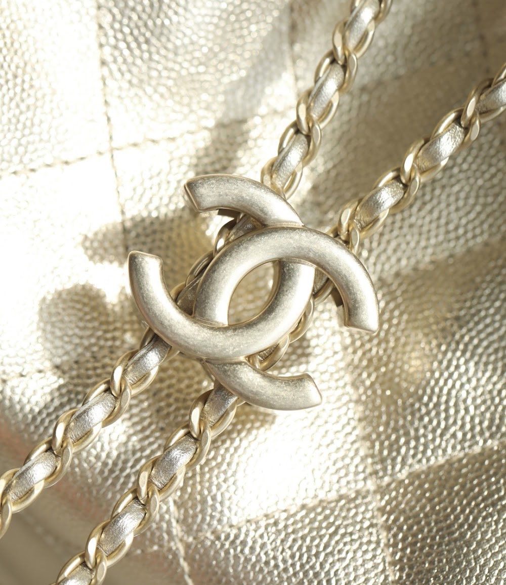 Dragons BagsCHn Luxury Bag --113746