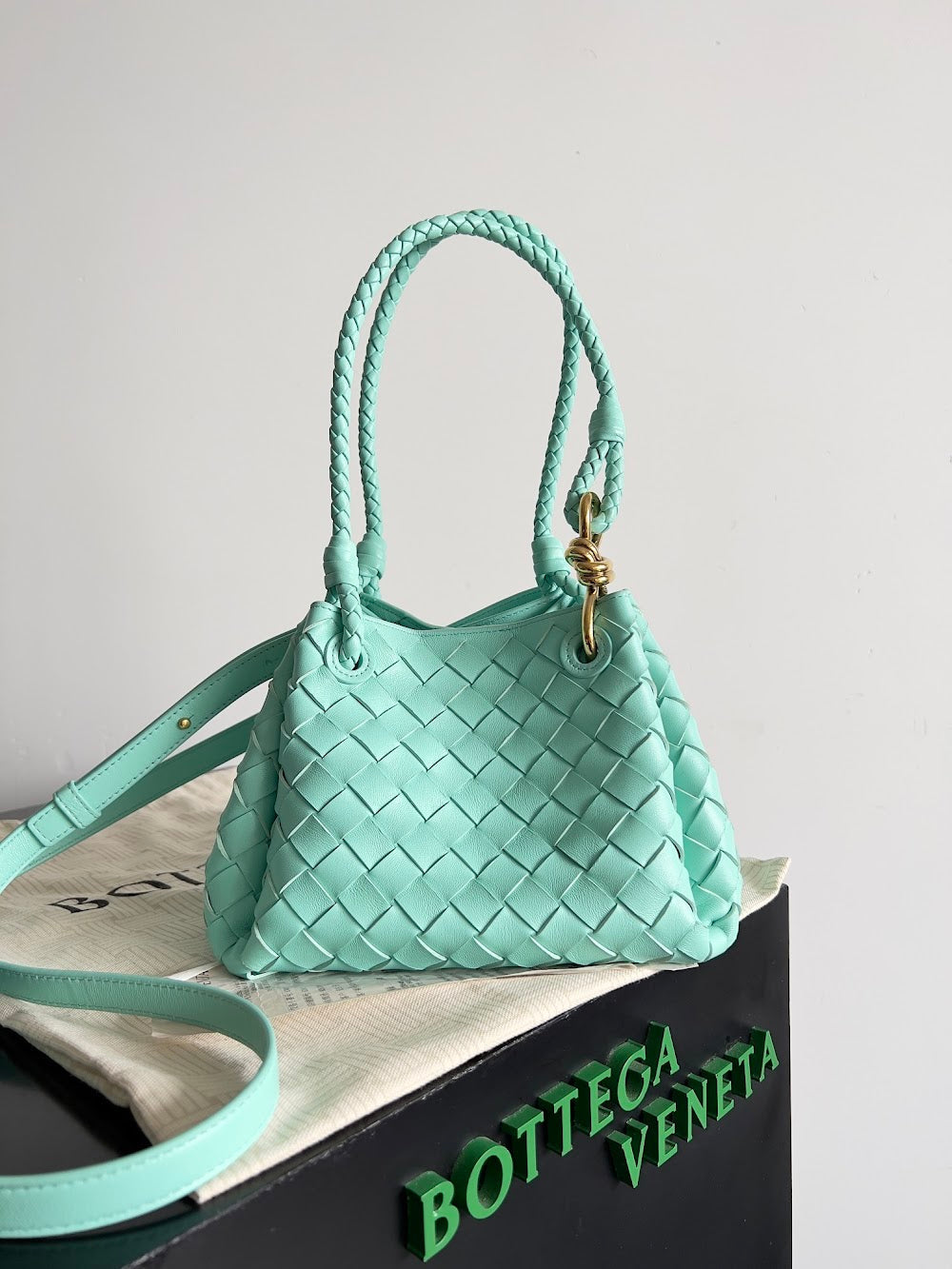 Dragons Bags Bottegan Luxury Bag --90954