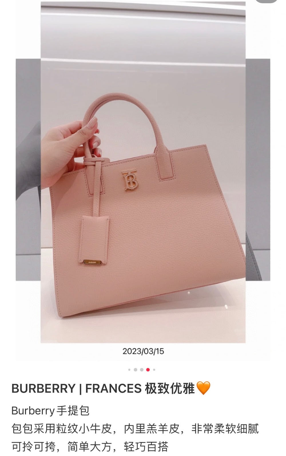 Dragons Bags Burberryn Luxury Bag --91814