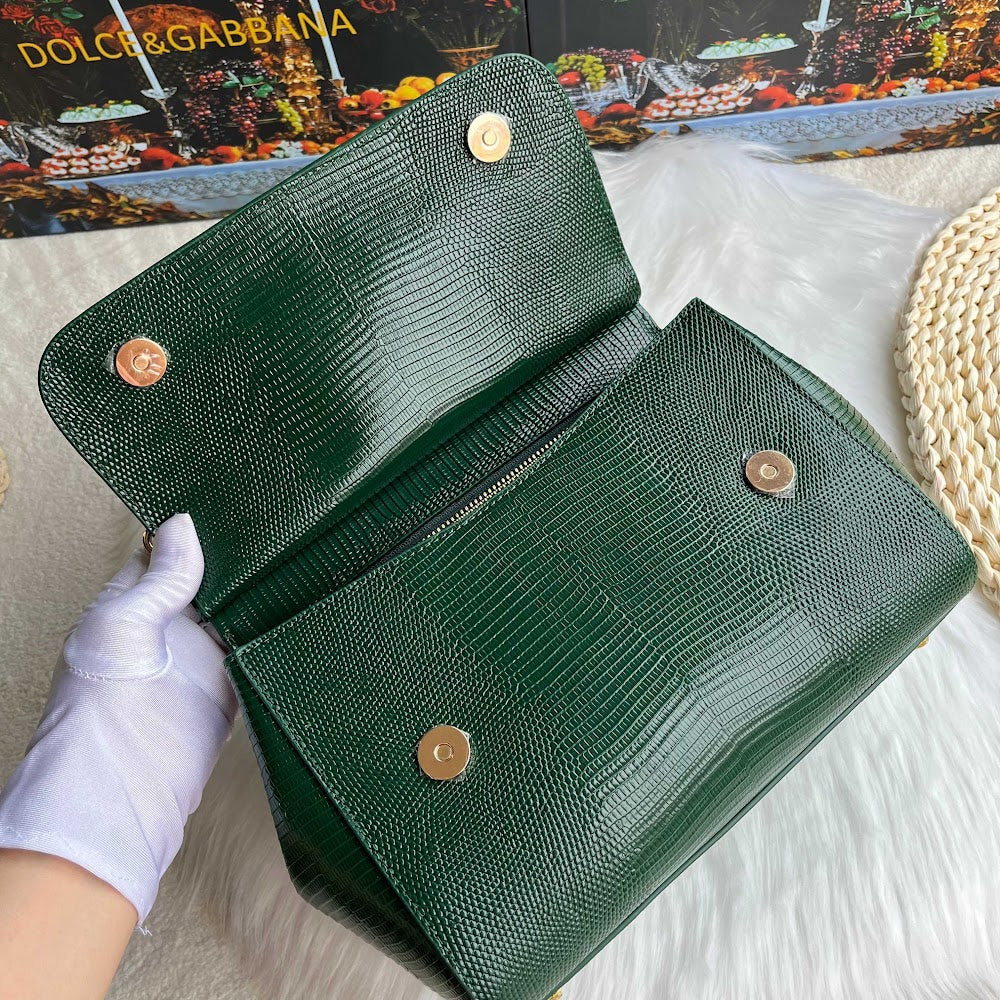 Dragons Bags DGn Luxury Bag --94170