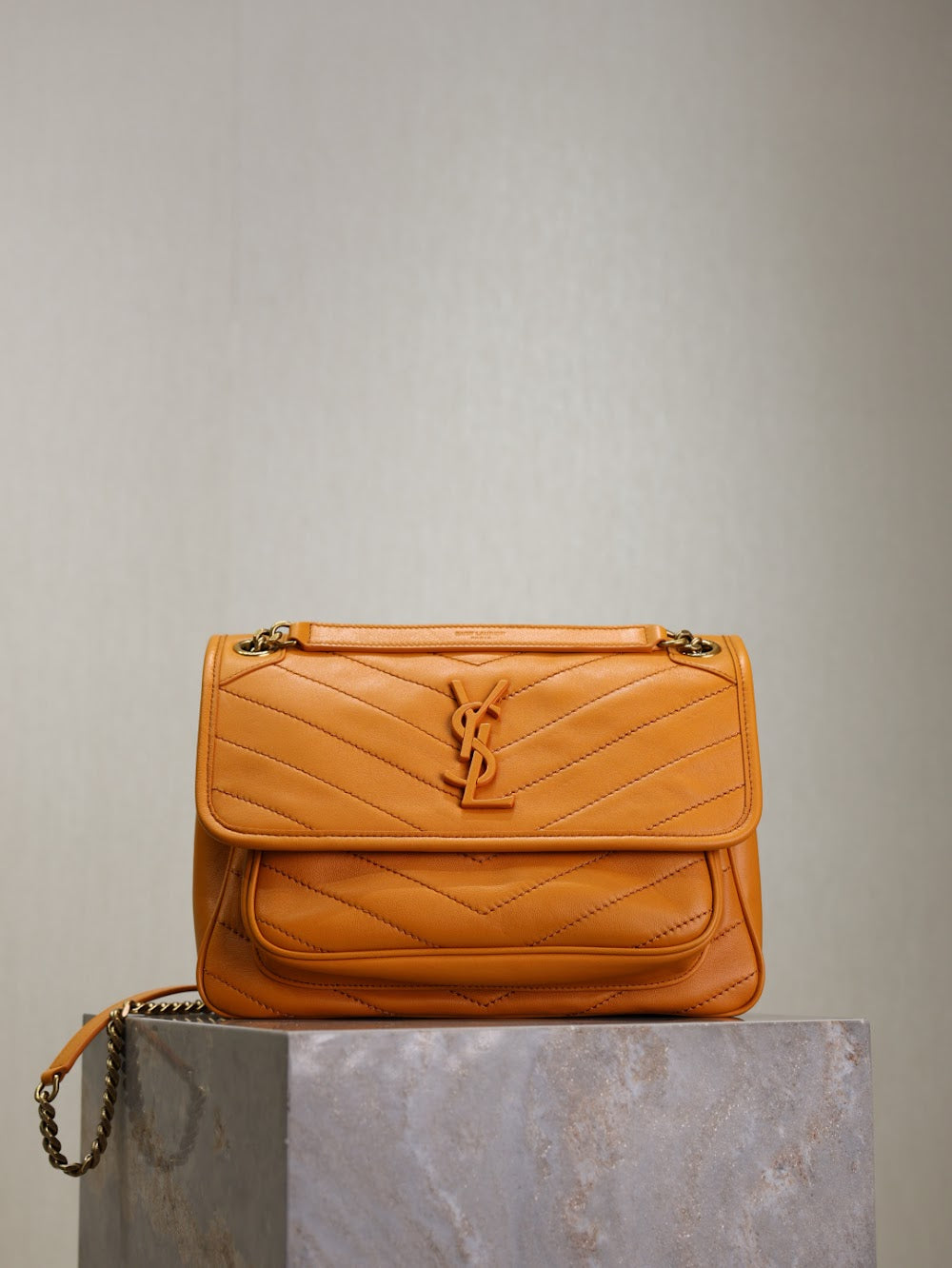 Dragons Bags YSLn Luxury Bag --119737