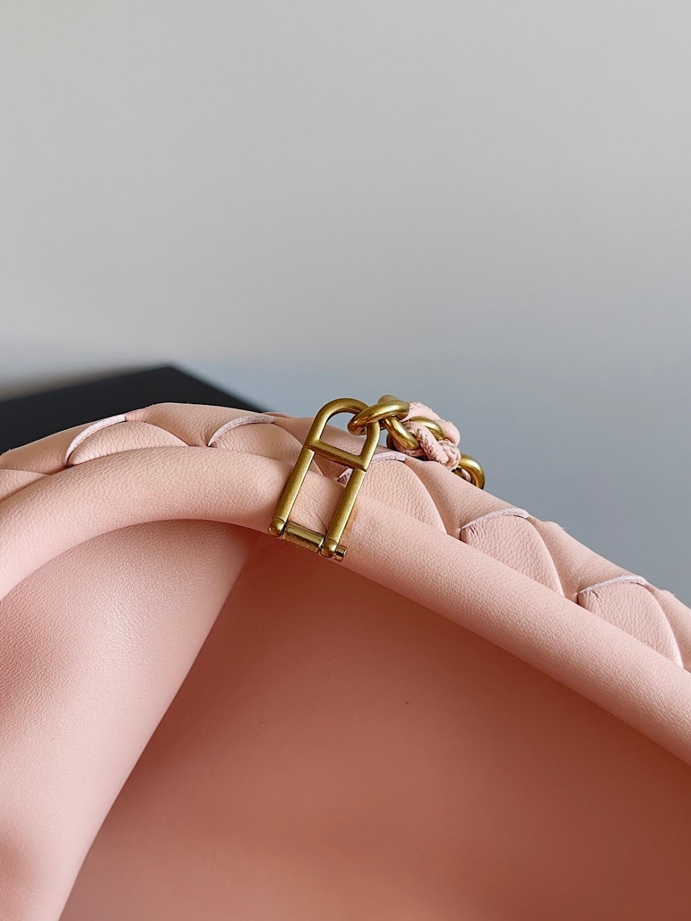 Dragons Bags Bottegan Luxury Bag --91238