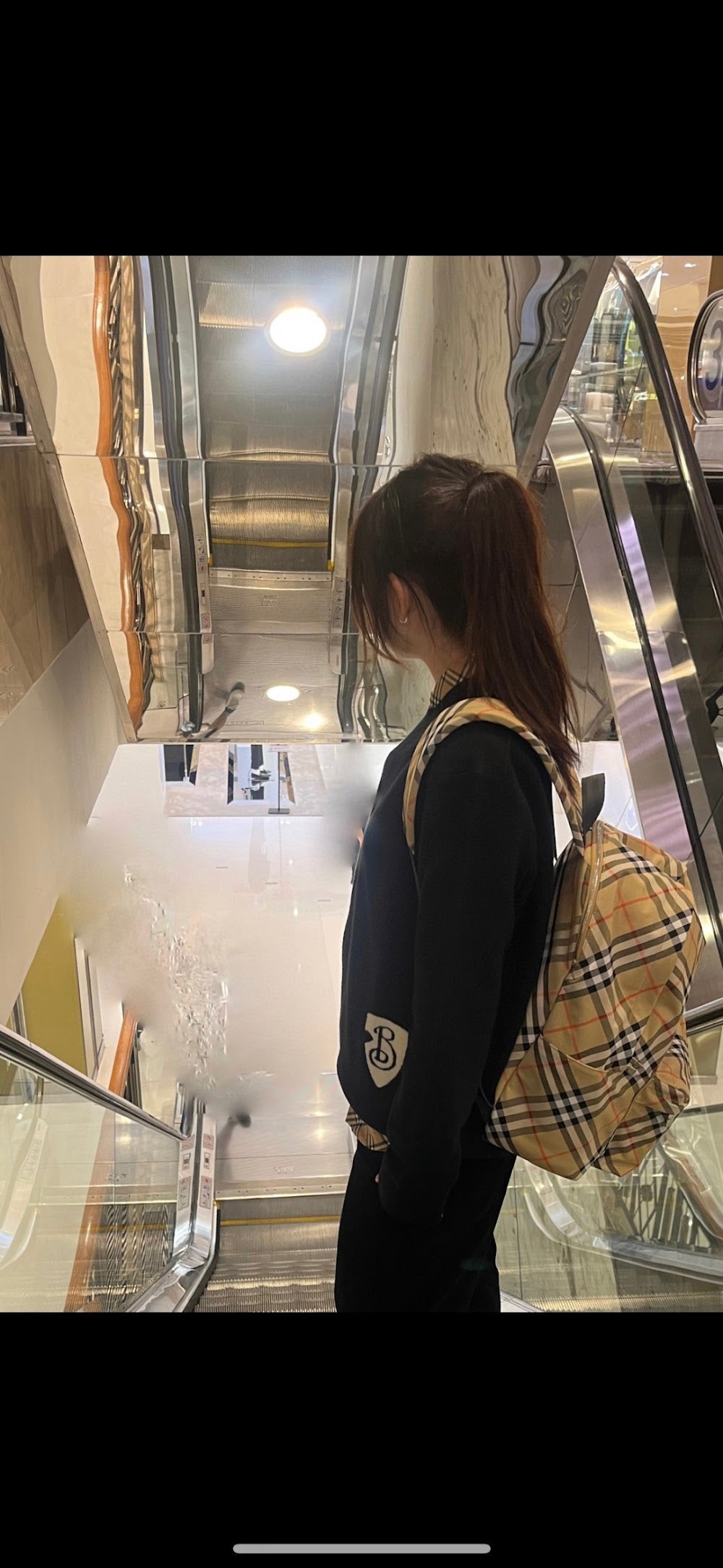 Dragons Bags Burberryn Luxury Bag --93113