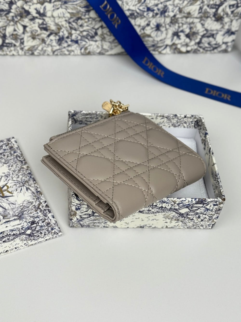 Dragons BagsDiorn Luxury Bag --115111
