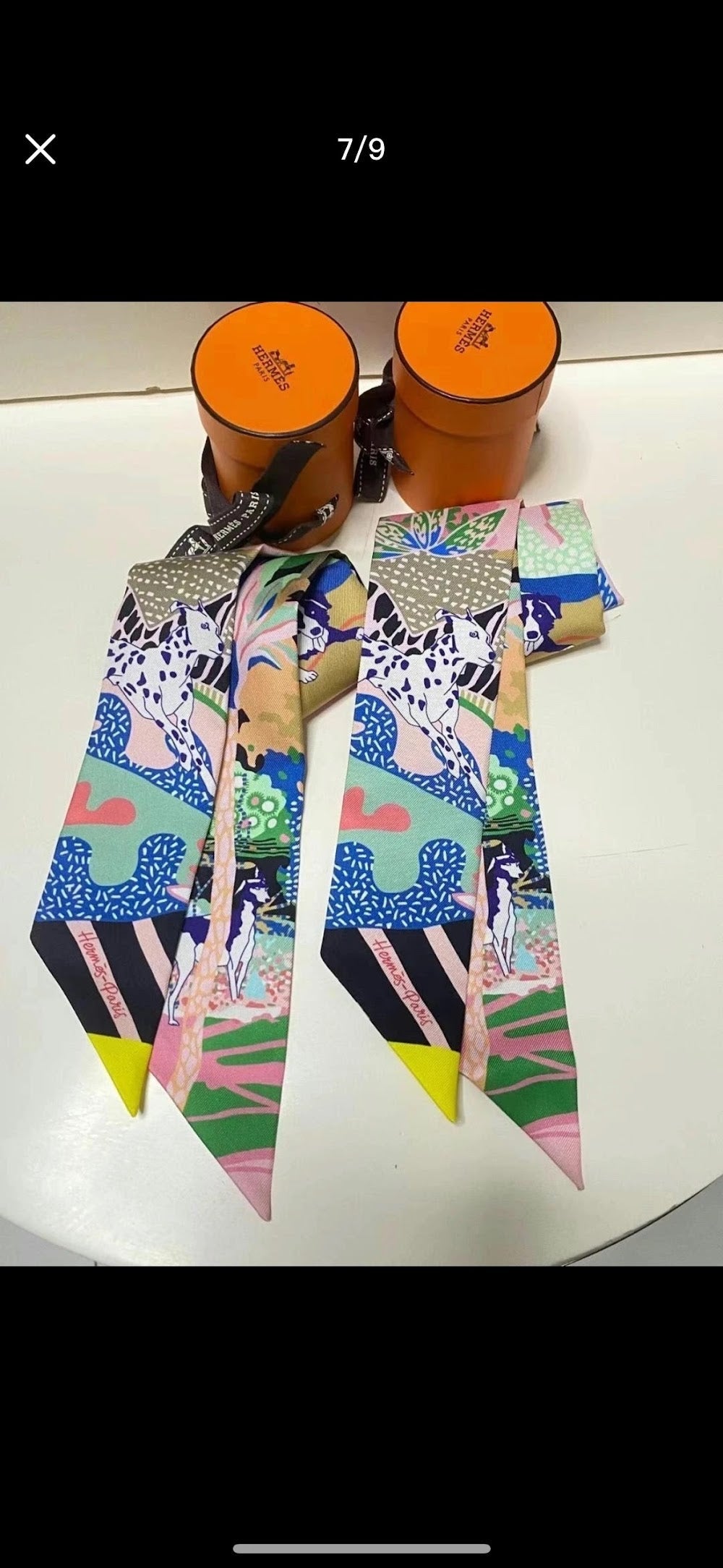 Dragons Bags Premium Designer Scarf --99091