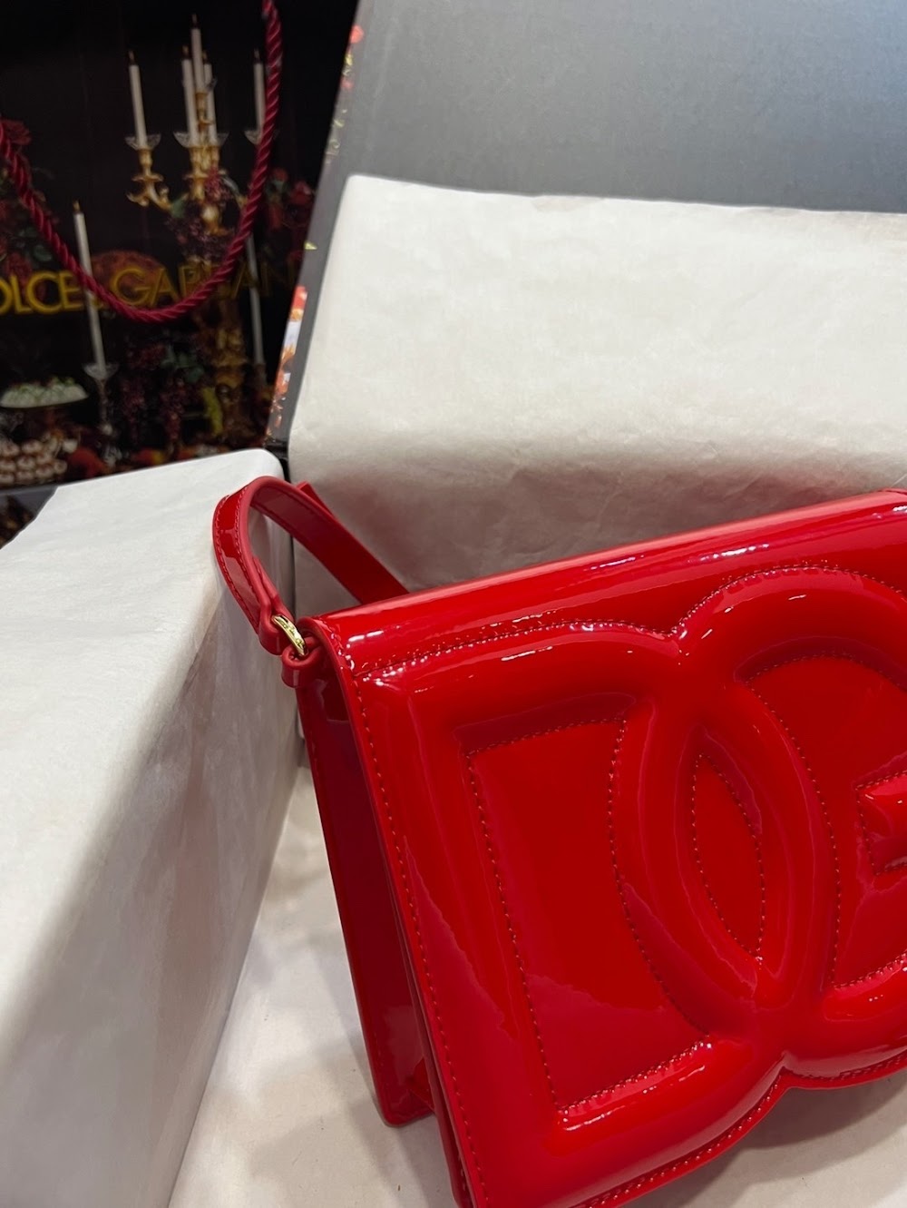 Dragons Bags DGn Luxury Bag --93868