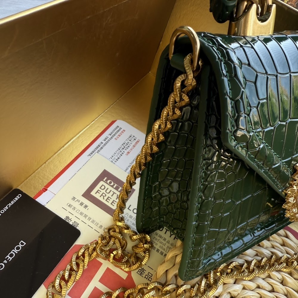 Dragons Bags DGn Luxury Bag --93861