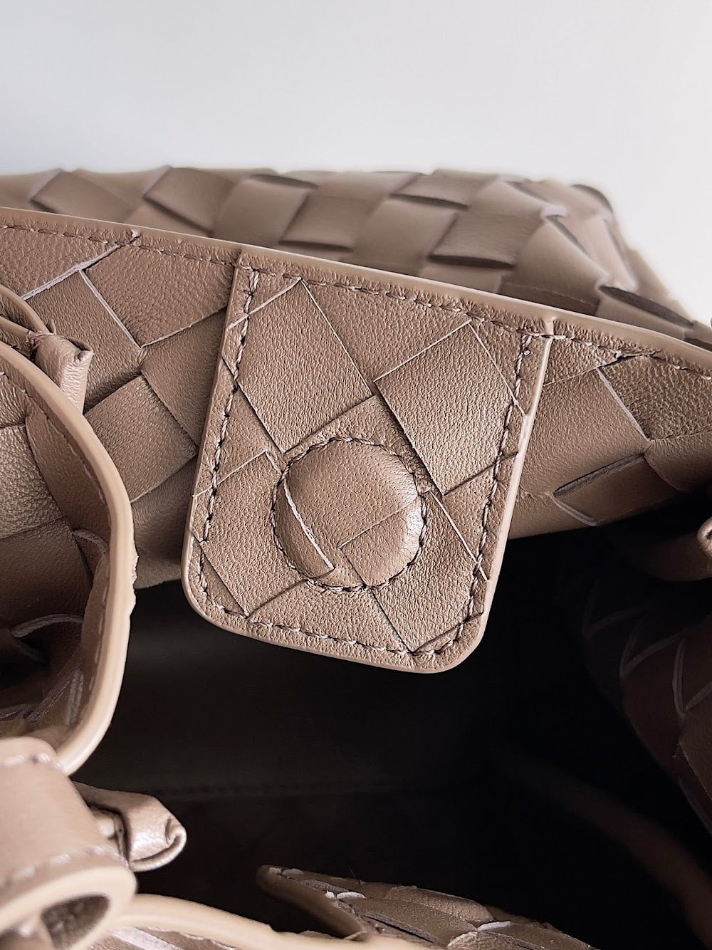 Dragons Bags Bottegan Luxury Bag --90962