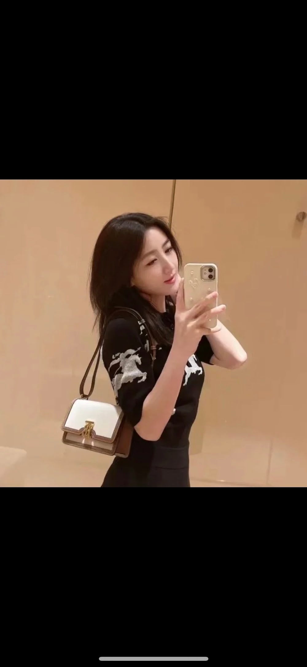 Dragons Bags Burberryn Luxury Bag --91619