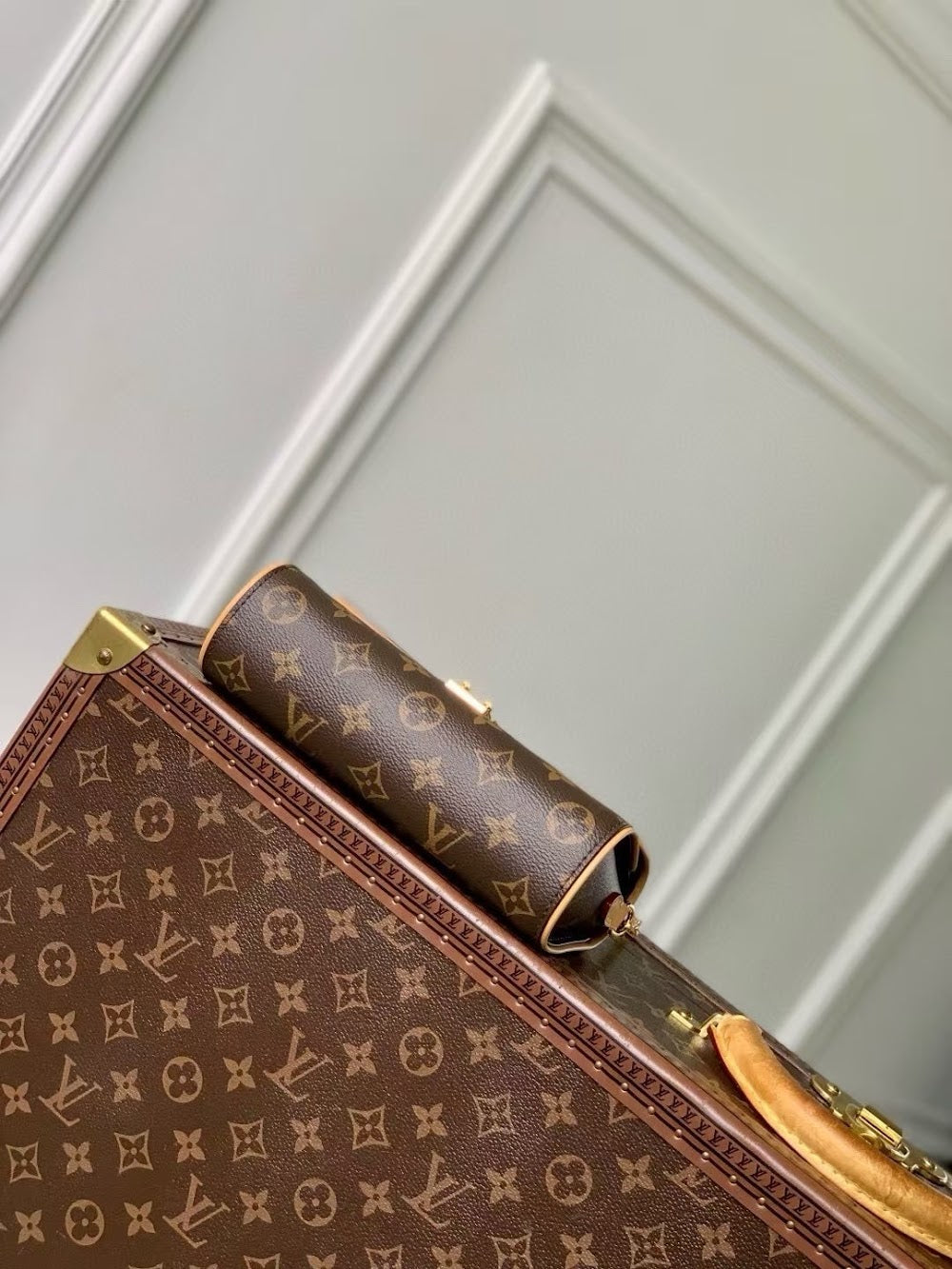 Dragons Bags LVn Luxury Bag --81152