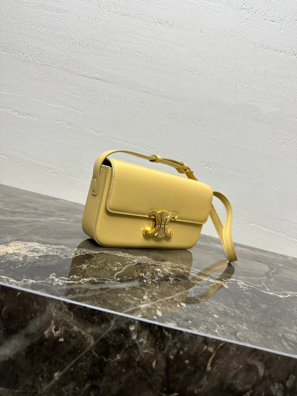 Dragons Bags Celine Luxury Bag --112424