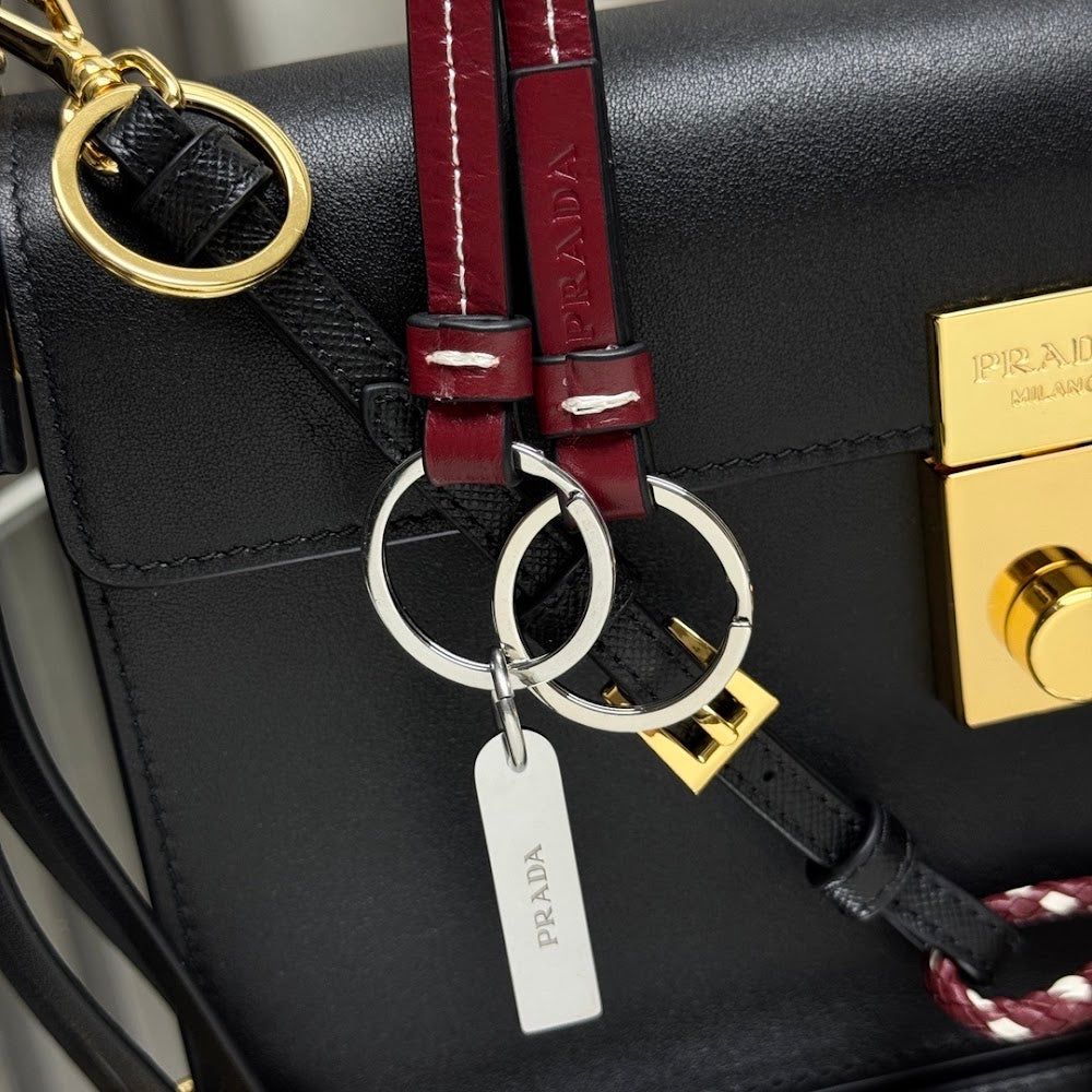 Dragons Bags Pradn Luxury Bag --102023