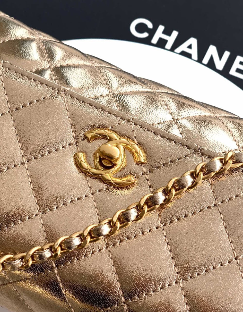 Dragons BagsCHn Luxury Bag --113968